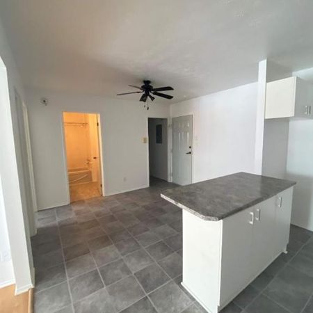 GRAND ET LUMINEUX 4.5 DISPONIBLE 1er JUILLET 2025 - Photo 3