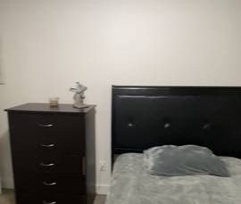 Downtown One bedroom fully furnished - Photo 1