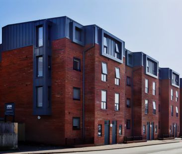 Classic Smaller Studio - Photo 5