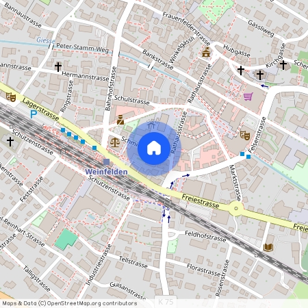 8570, Weinfelden, Schmidstrasse, 3