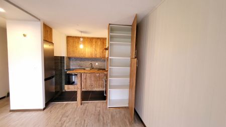 Ovronnaz, charming 2.5 room apartment of 44 m2, facing south - Photo 4