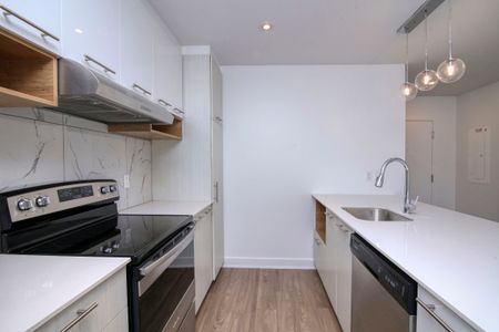 9675 Av. Papineau - Photo 3