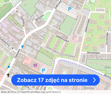 Zielona okolica | po remoncie | 2 pokoje - Zdjęcie 1