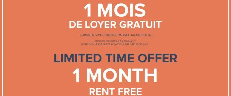 Place Du Boulevard Apartments | 315 East Rene Levesque blvd, Montreal - Photo 1