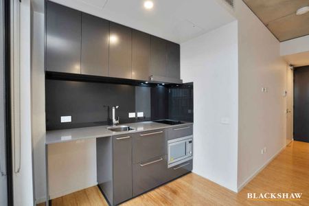 Modern Luxury- $450.00 pw- Including Utilities - Photo 4