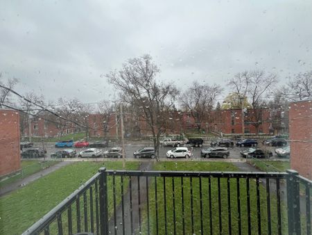 5180 Av. Walkley - Photo 4