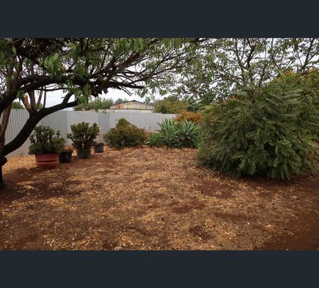 41 Eugene Cres, Parafield Gardens, SA 5107 - Photo 3