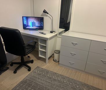 Room in a Shared House, Rylston Road, SW6 - Photo 3