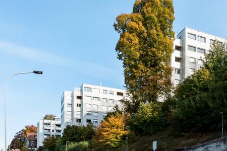 Ruhige und sonnige Lage mit Ausblick über die Stadt St. Gallen - Foto 3