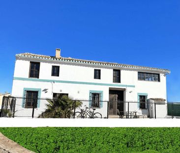 Partida Calvet, Alboraya, Valencian Community 46120 - Photo 6