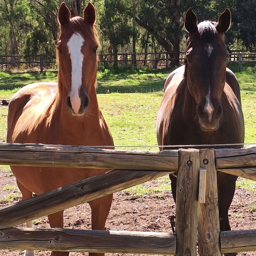 Darling Downs - Photo 1