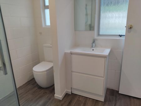 Refurbished family home - Otumoetai - Photo 3