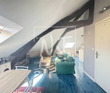 APPARTEMENT A LOUER ANGERS 49000 HYPER CENTRE - Photo 1