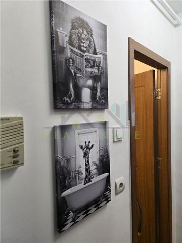 Garsoniera renovata zona Noua - Fotografie 5