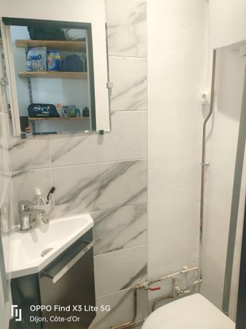 Appartement T3 – Proche Gare et Darcy - Photo 4