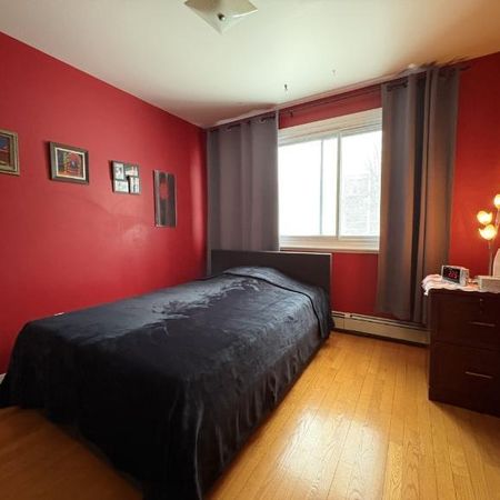 Appartement 4 ½ à louer Sainte-Foy / Sillery juillet 2026 - Photo 3