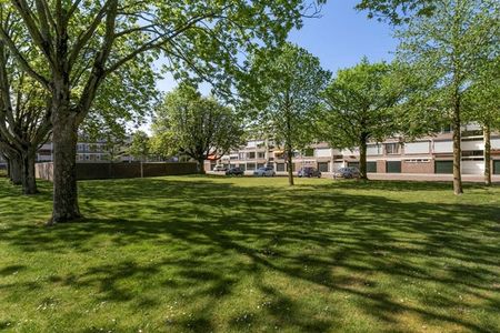 Te huur: Appartement Veldmaarschalk Montgomerylaan in Eindhoven - Foto 5