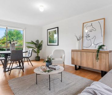 2/300-302 Blackburn Road, Glen Waverley - Photo 4
