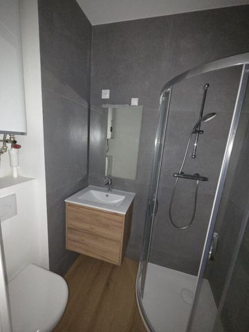 Appartement 1 pièce à Lille - Photo 4