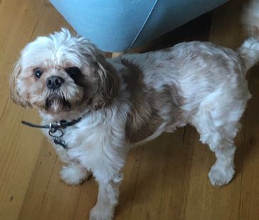 West Footscray - Photo 3