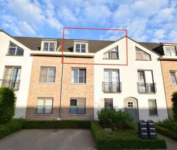 Picavet Vastgoed - Te Huur: Gierle - Duplex - Photo 6