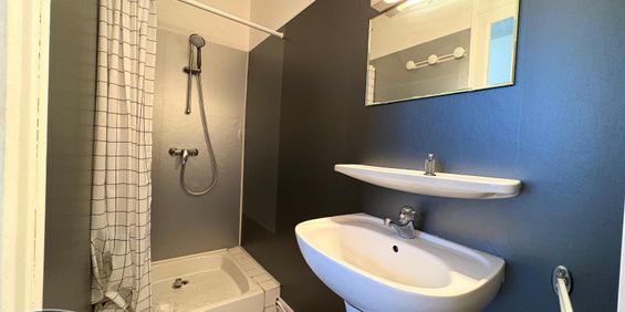 Location Appartement 1 pièce 25m² LIMOGES 87000 - Photo 3