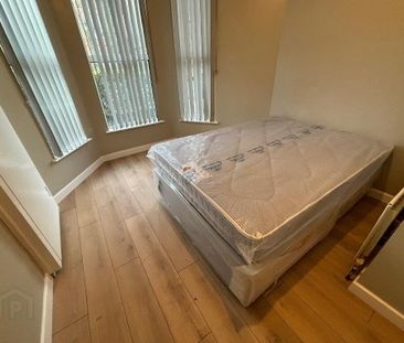 Great Apartment, 93a University Avenue, Queens Quarter, Belfast, BT... - Photo 2