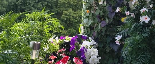 Vollmöbliertes Zimmer, Großhadern (U6) - Foto 1