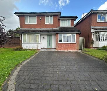 2 bedroom house share to rent - Photo 3