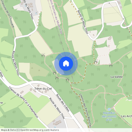 69370, St Didier Au Mont D Or