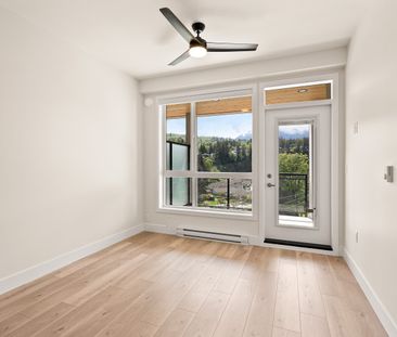 YEARLING - 306 - YE306 - Photo 6