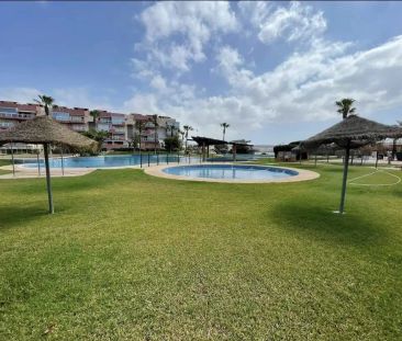 El Ejido - Foto 2