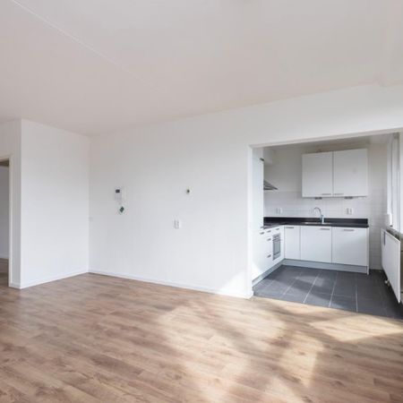 Leerdamhof, Amsterdam - Photo 3