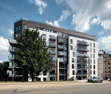 Live with the owner - 1-bedroom apartment - Photo 6