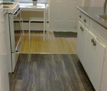 1 CH - 1 SDB - Montréal - $1,250 /mo - Photo 1