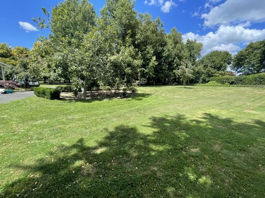 15 Worcester Street, Levin - Photo 1