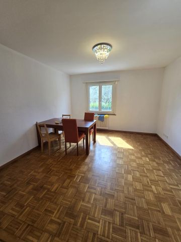 Appartement 3 pièces avec balcon, proche centre-ville - Rue des Moulins 44 - Photo 4