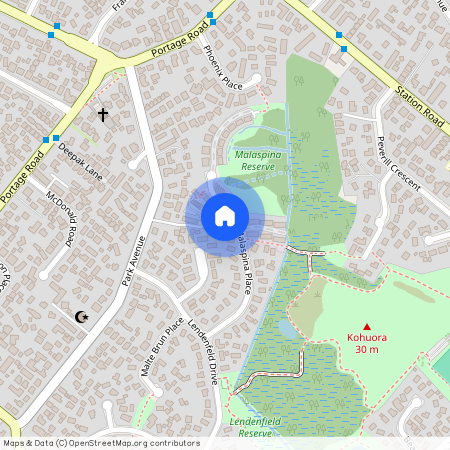 34 Malaspina Place, Papatoetoe, Manukau City