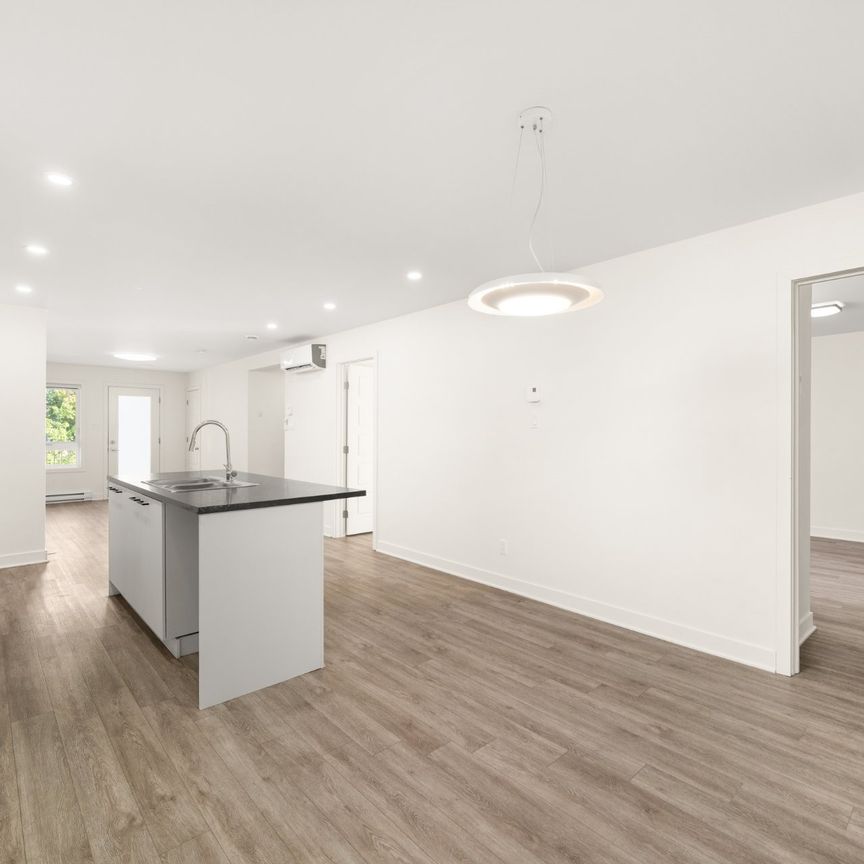 154 Rue Guillerm - Photo 1