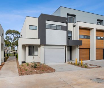 Park facing stylish townhouse - Photo 1