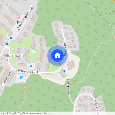 Borås, Liljebergsgatan, 51, 50639