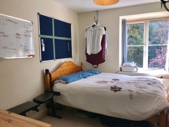 1 bedroom in a house share to rent - Photo 1