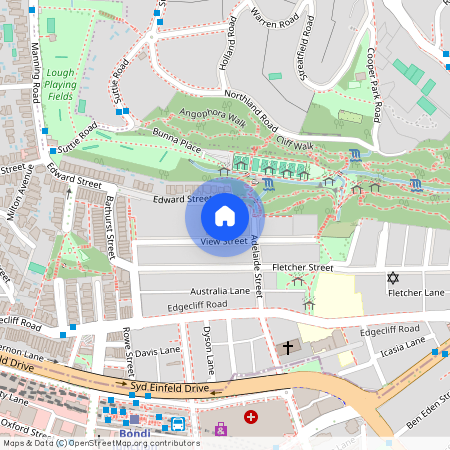 46 View Street, NSW 2025, Woollahra