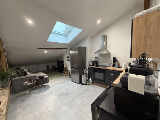 Location Appartement 3 pièces 46m² CHATILLON SUR CHALARONNE 01400 - Photo 1