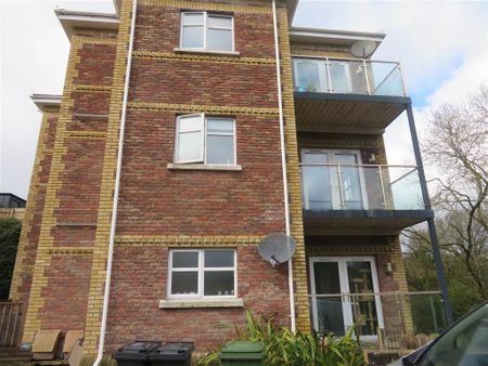 45 Glenburn Manor, Dunmurry, BT17 9DX - Photo 2