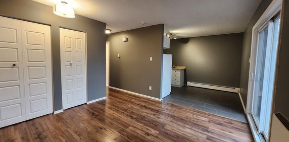 Appartement 1 Chambre à Louer - Photo 2