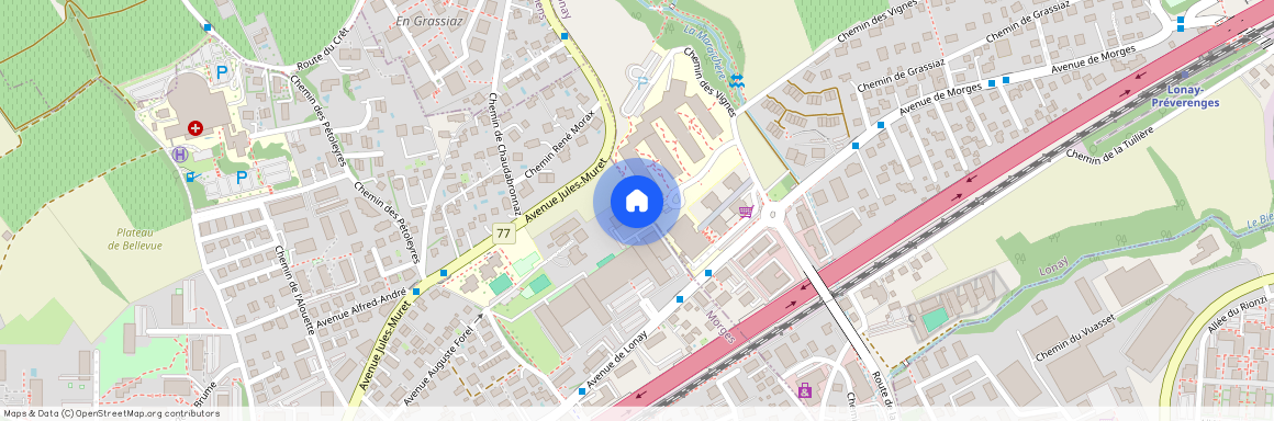 Avenue de Lonay 29, Morges