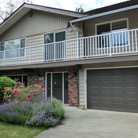 2 bed/1 bath-Steveston London Secondary/Maple Lane Elementary - Photo 1