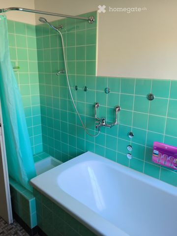 6.5-Zi-Einfamilienhaus, Bruderholz, für WGs oder Familien - Photo 4