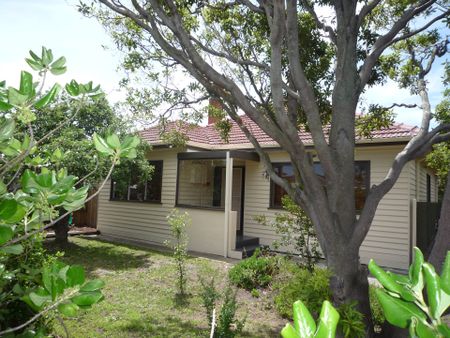 7 Dorcas Street, Newcomb - Photo 3